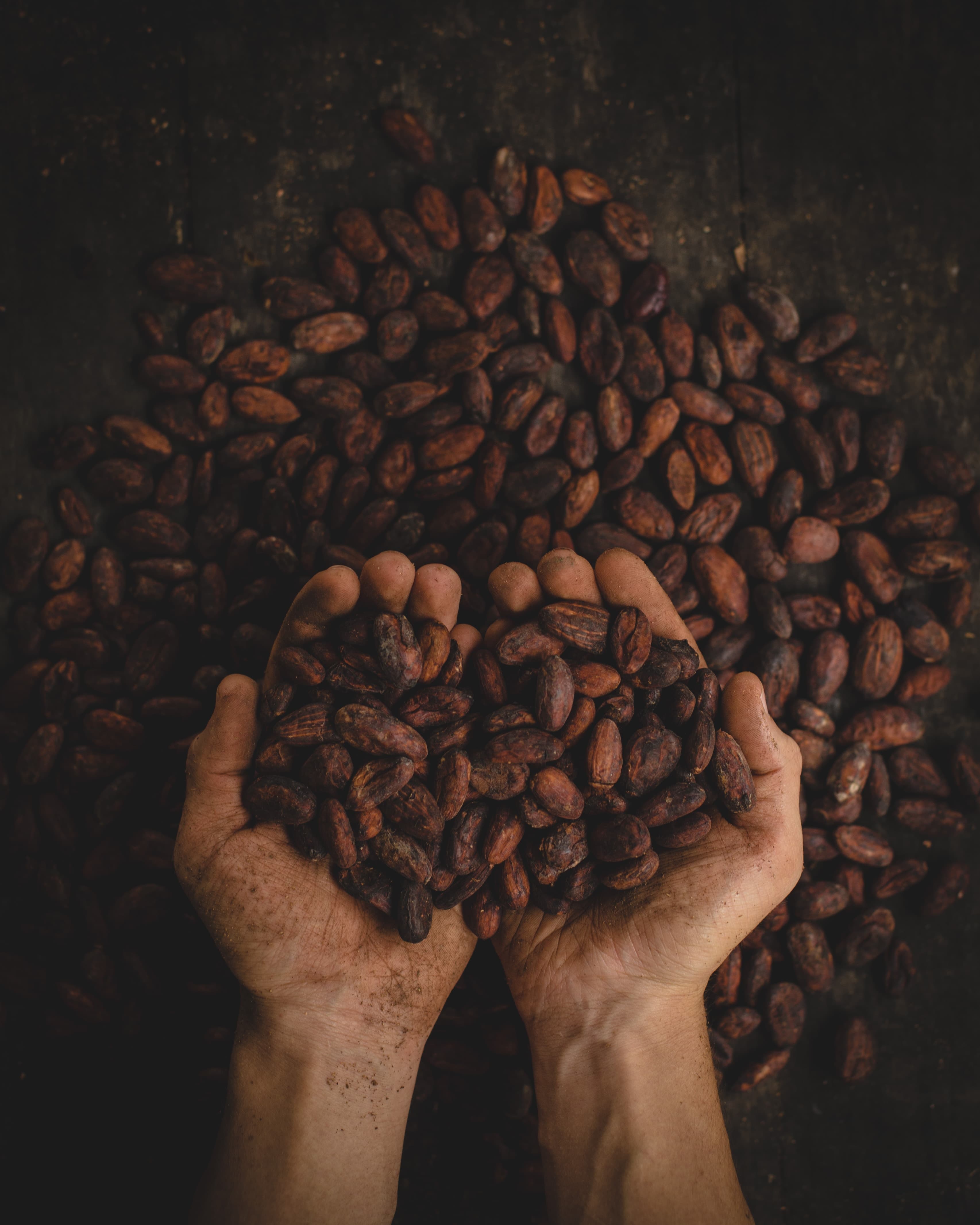 MIVA Çikolata - Premium Artisanal Chocolates